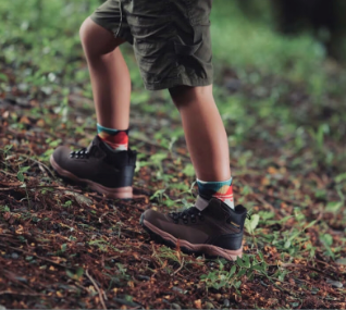RAFAC Coffee Yarn Socks - Wildlife Series : UARFWL2325K for KIDS