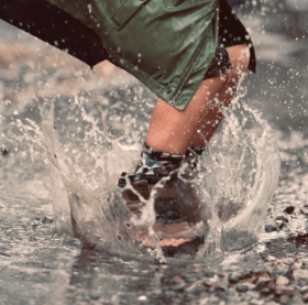 RAFAC Coffee Yarn Socks - Wildlife Series : UARFWL2325K for KIDS