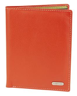 Multi Colour Leather Passport Cover UAFB3045